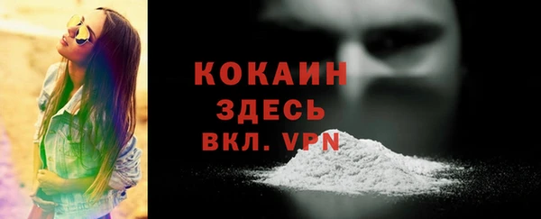 тгк Богданович