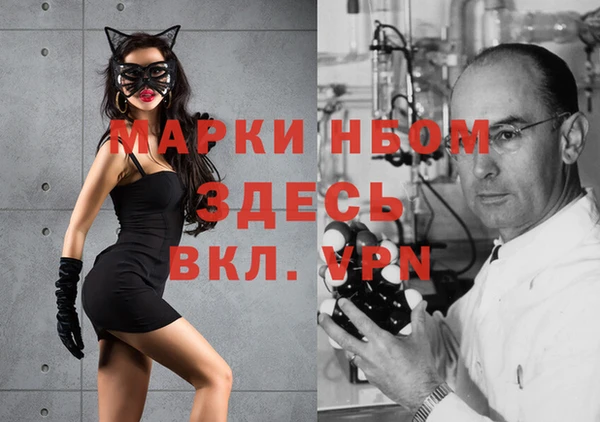 тгк Богданович