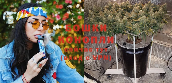 тгк Богданович